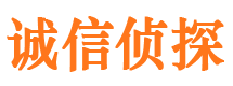 天柱市婚外情调查